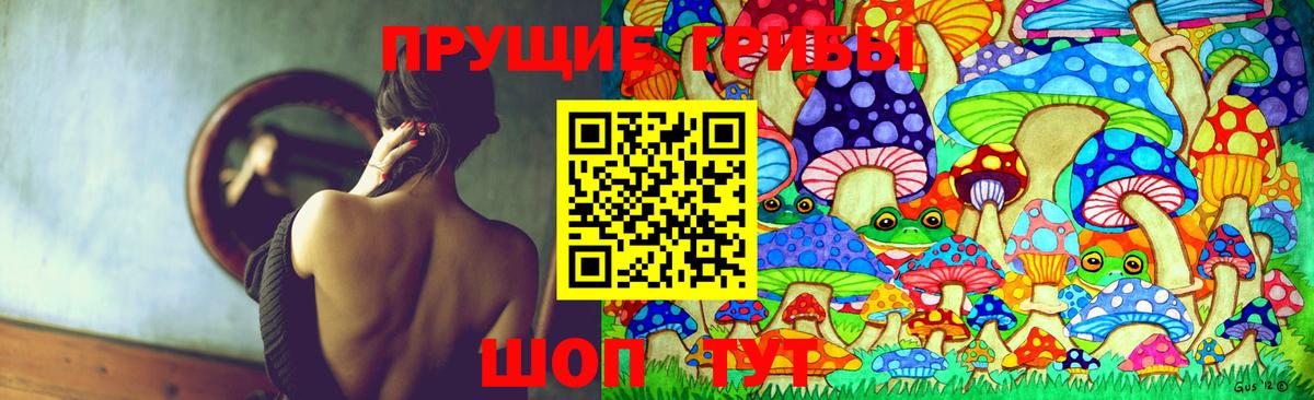 Краснодар  Псилоцибиновые грибы ЛСД  Вход с VPN  Псилоцибиновые грибы GOLDEN TEACHER 