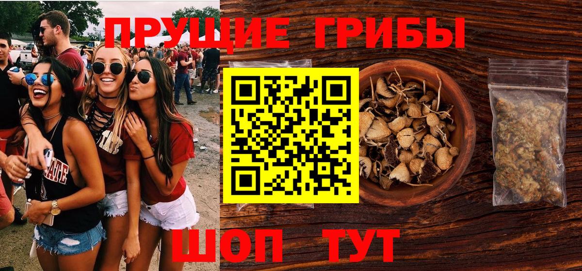 Псилоцибиновые грибы GOLDEN TEACHER Краснодар