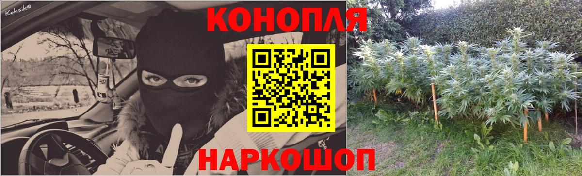 Бошки Шишки Ganja Краснодар